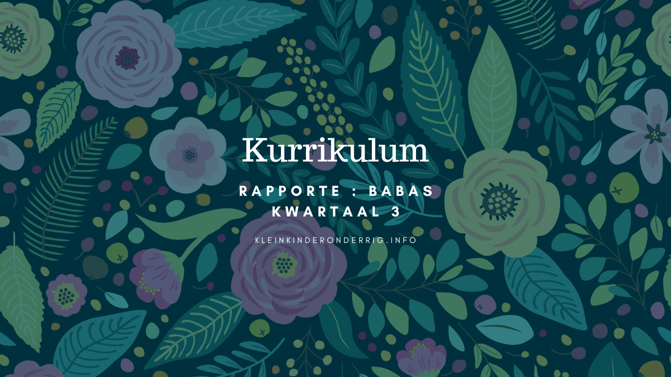 Rapport kwartaal 3 BABA program
