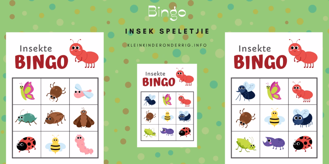 Hoe speel ons Insek-bingo?