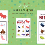 Hoe speel ons Insek-bingo?