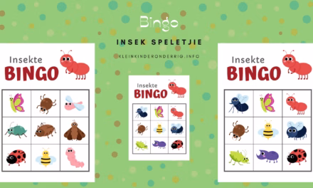 Hoe speel ons Insek-bingo?